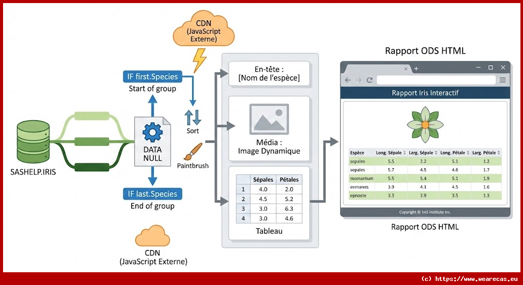Rapport Iris Dataset avec ODS et Tableaux Triables