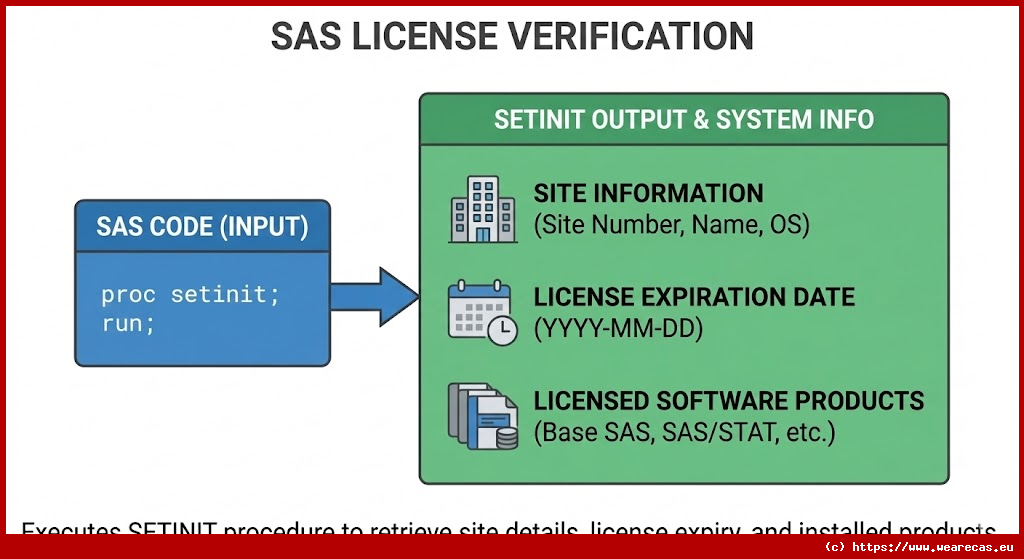 Vérification de la licence SAS