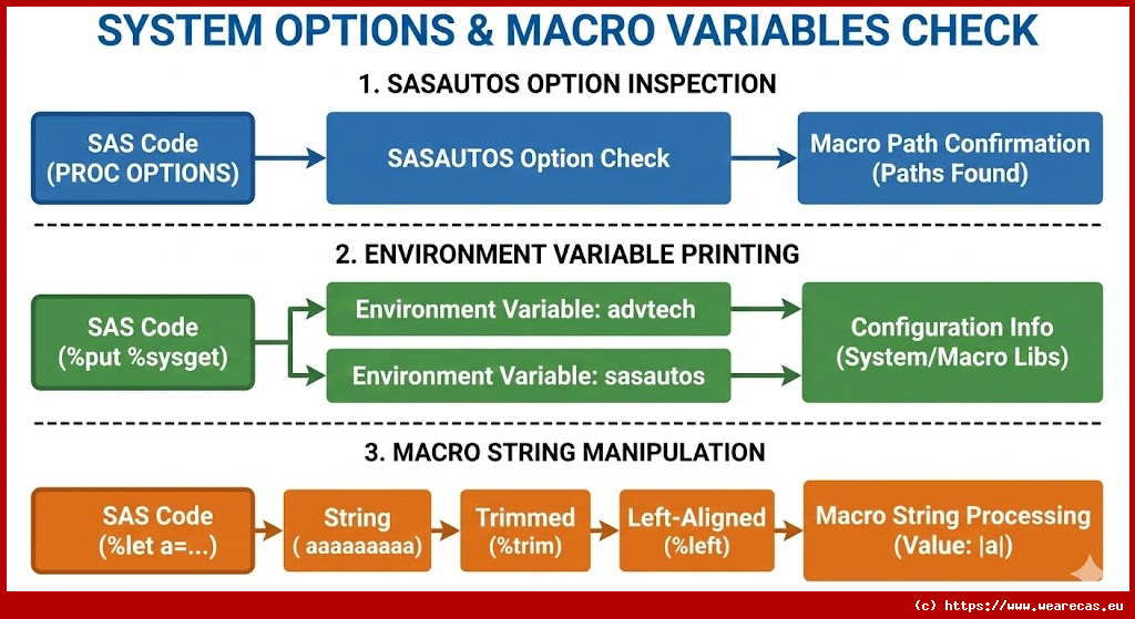 Vérification des options système et des variables macro